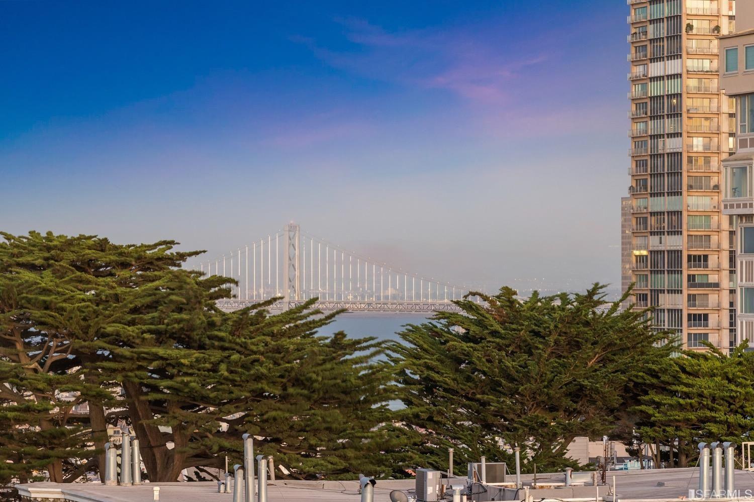 2111 Hyde Street, Unit 503 window view of bridge