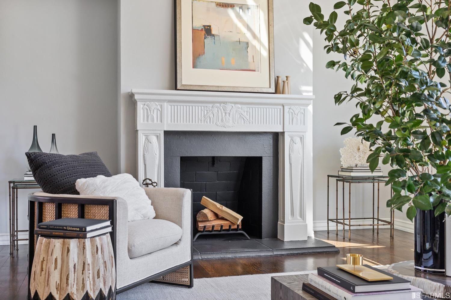 fireplace, art , large plant