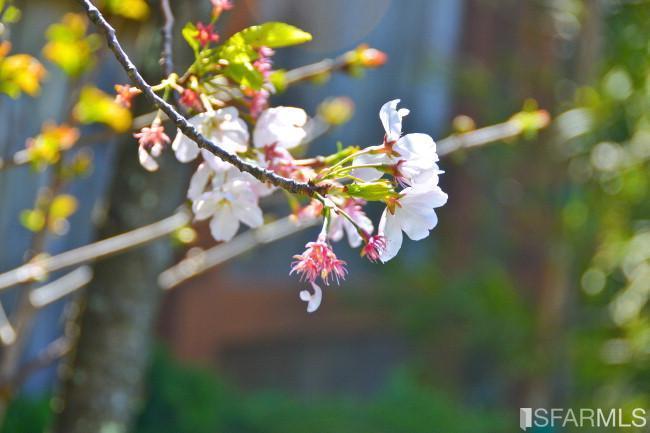 3867 Washington St. Image #428